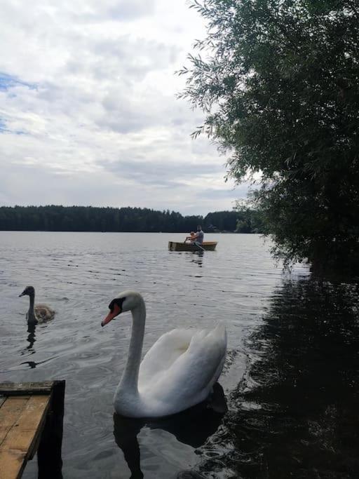Wrzosowe Wzgorze - Domek Wiejski Klaczno Zewnętrze zdjęcie